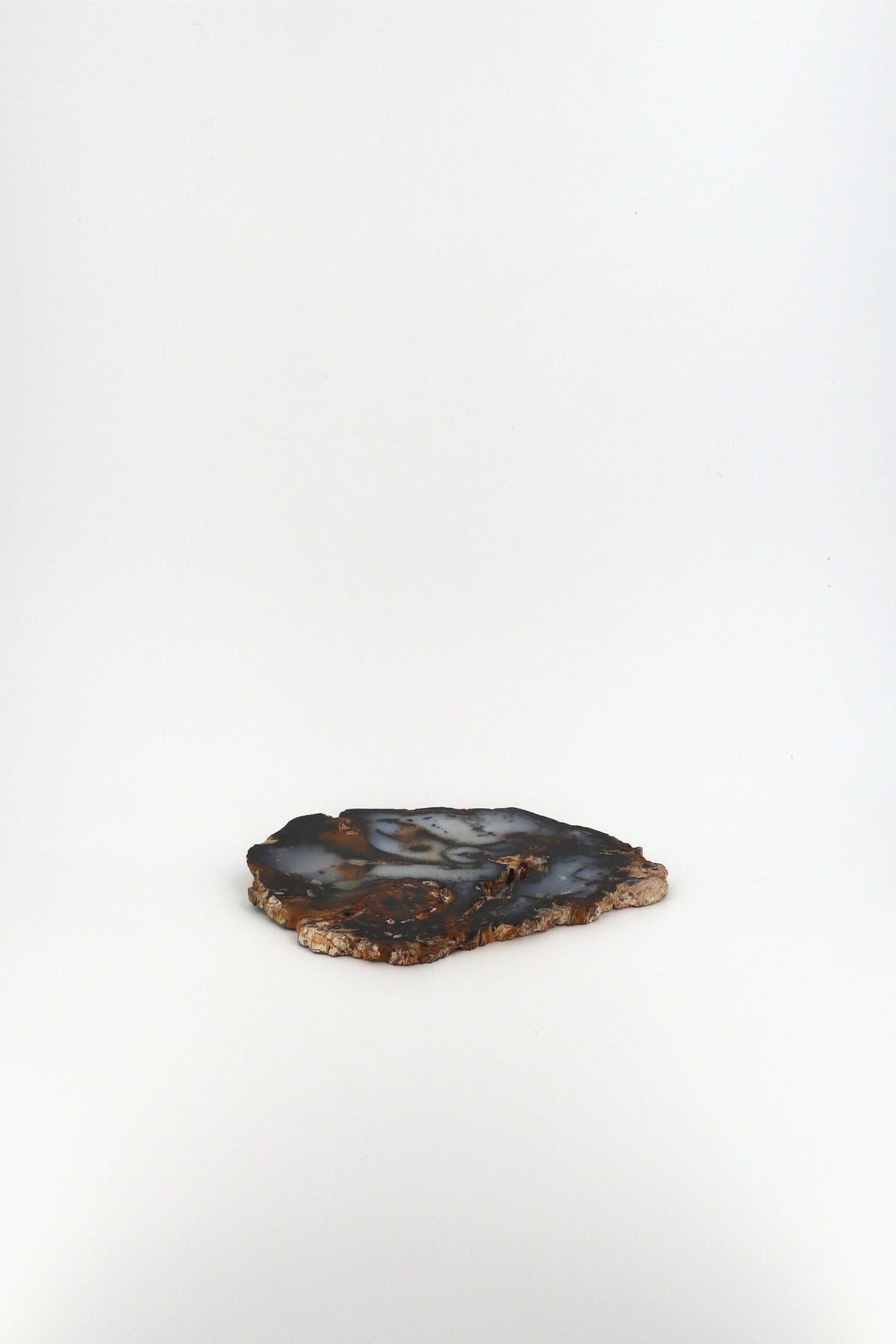 Petrified Wood Slab